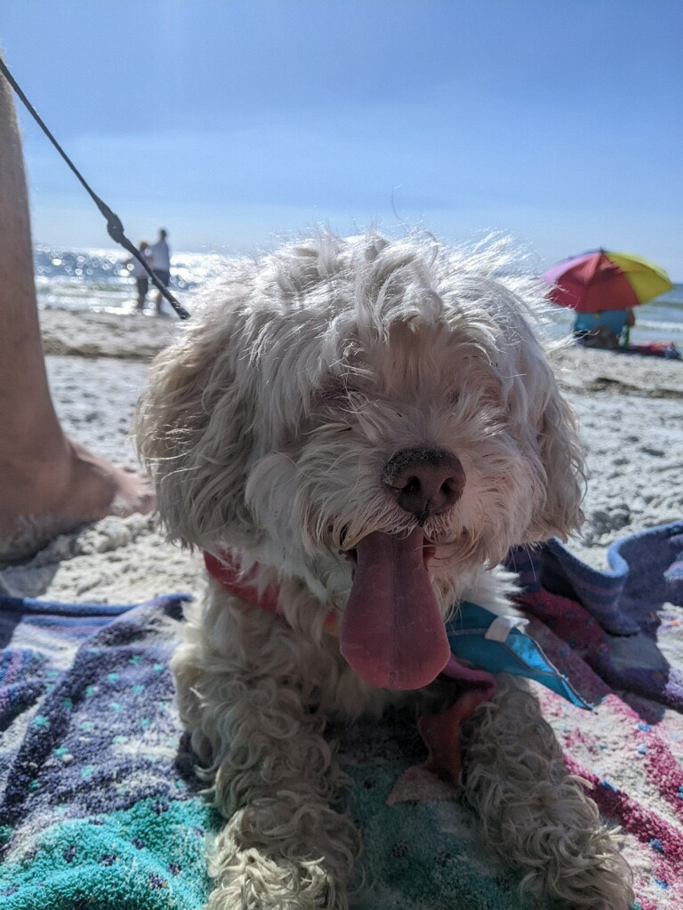 Molly