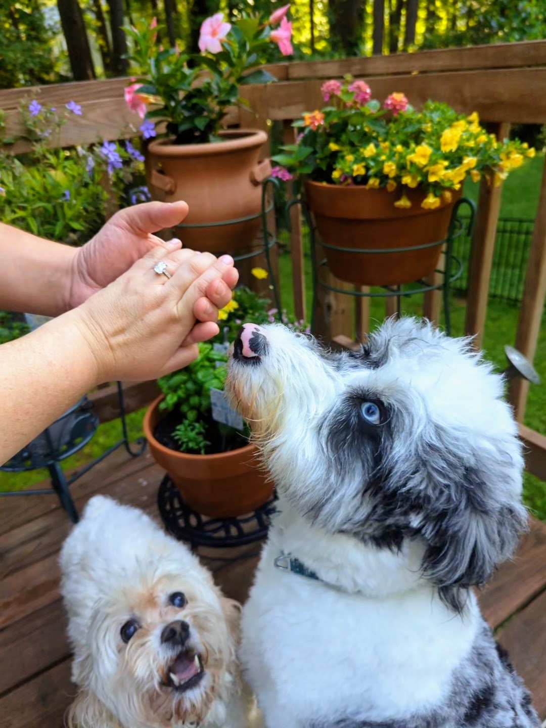 Popping the Question